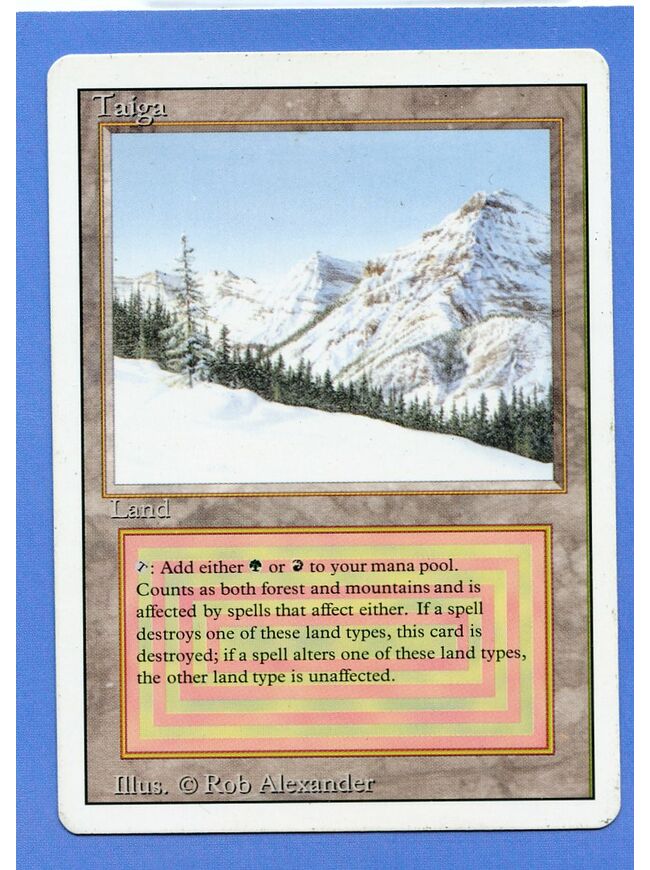 Taiga