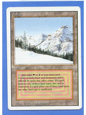 Taiga