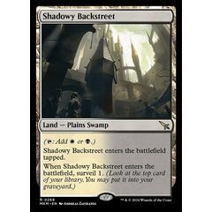 Shadowy Backstreet