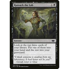 Ransack the Lab
