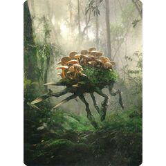 Saproling // Saproling Token