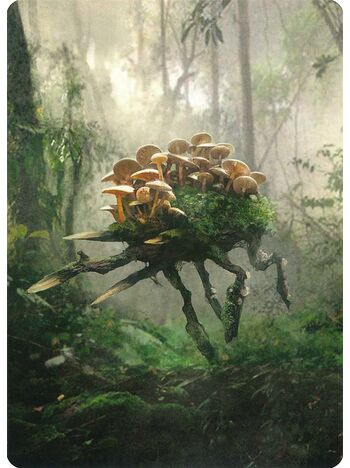 Saproling // Saproling Token