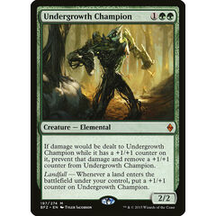 Undergrowth Champion