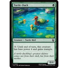 Turtle-Duck