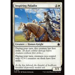 Inspiring Paladin