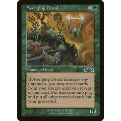 Avenging Druid