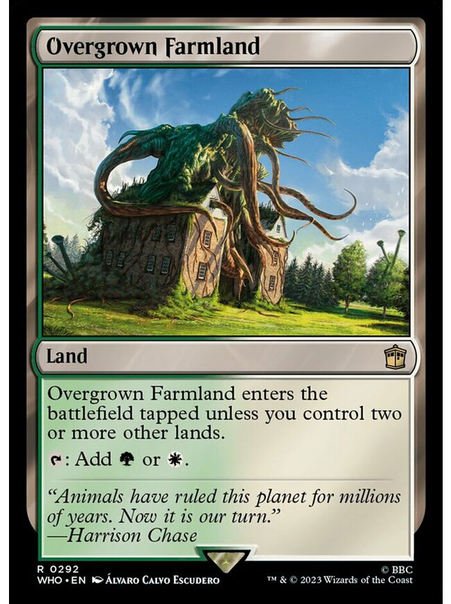 Overgrown Farmland