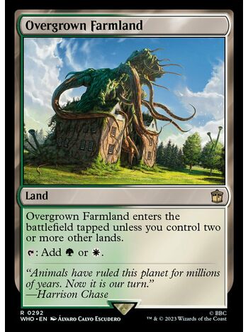 Overgrown Farmland