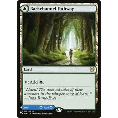 Barkchannel Pathway // Tidechannel Pathway
