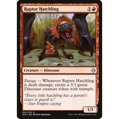 Raptor Hatchling