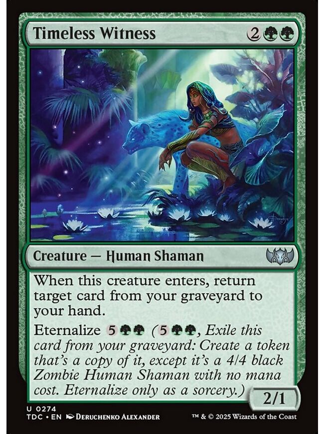 Timeless Witness
