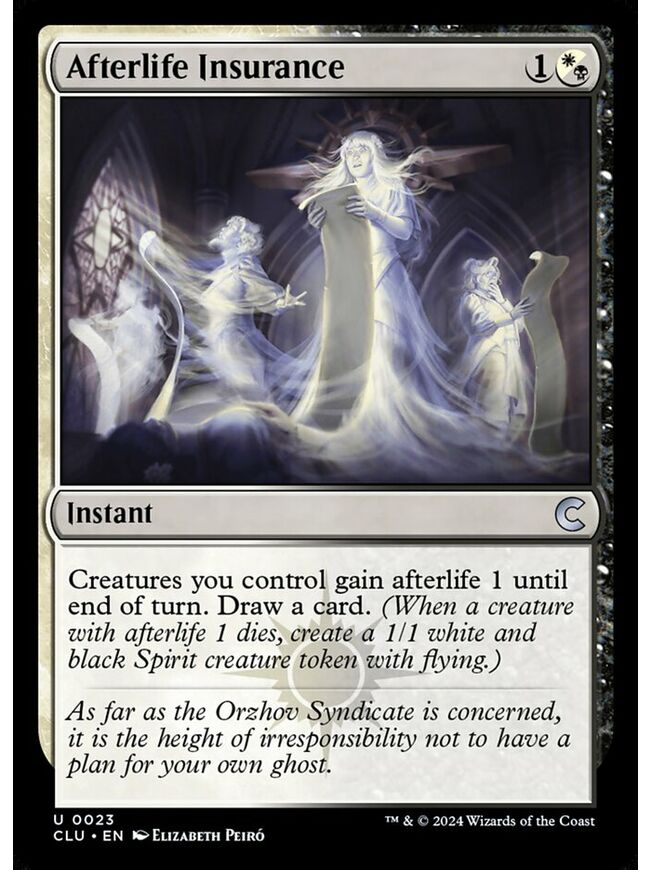 Afterlife Insurance