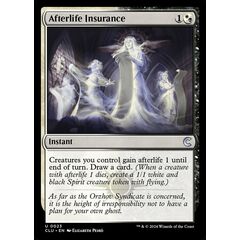 Afterlife Insurance