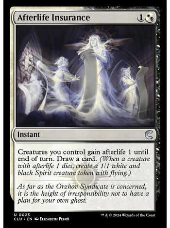 Afterlife Insurance