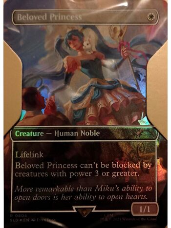 Beloved Princess
