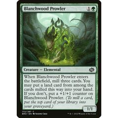 Blanchwood Prowler