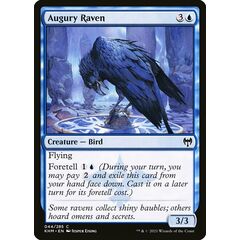 Augury Raven