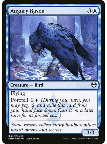 Augury Raven