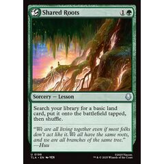 Shared Roots
