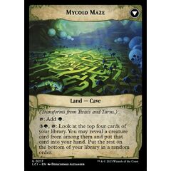 Twists and Turns // Mycoid Maze