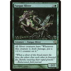 Fungus Sliver