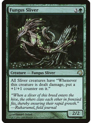 Fungus Sliver