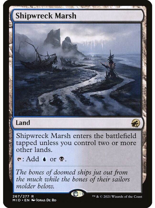 Shipwreck Marsh