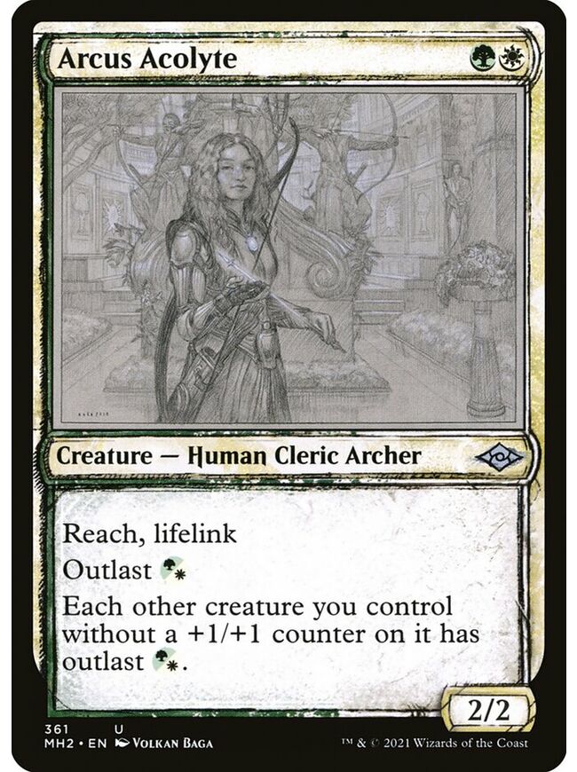 Arcus Acolyte