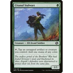 Citanul Stalwart