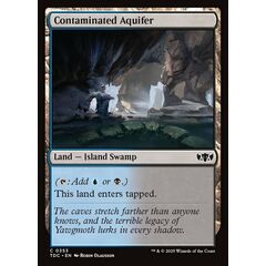 Contaminated Aquifer