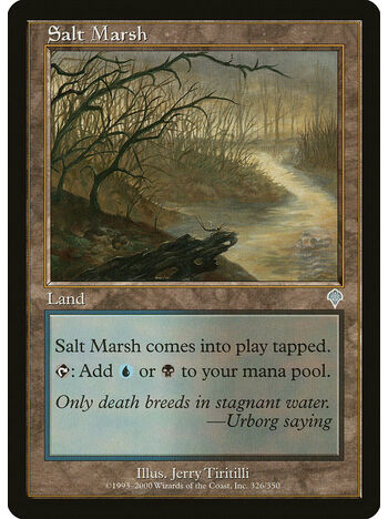 Salt Marsh