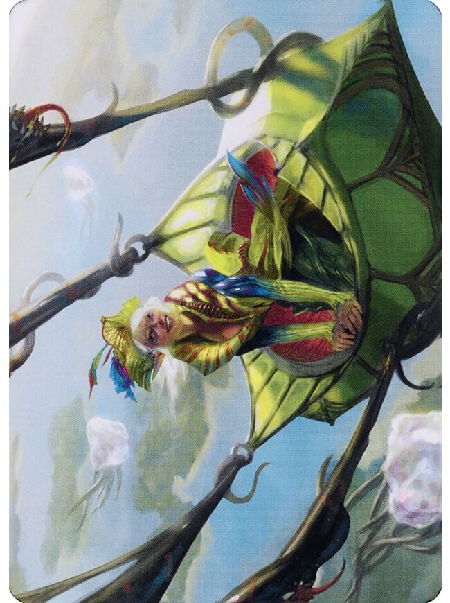 Nael, Avizoa Aeronaut // Nael, Avizoa Aeronaut (Art Series)