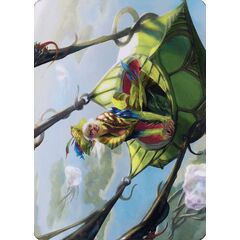Nael, Avizoa Aeronaut // Nael, Avizoa Aeronaut (Art Series)