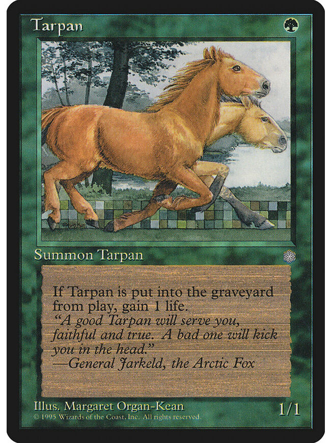 Tarpan
