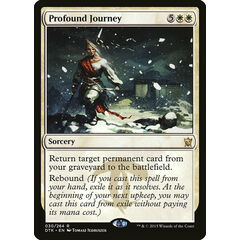 Profound Journey