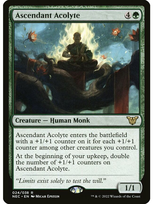 Ascendant Acolyte