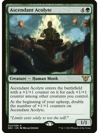 Ascendant Acolyte