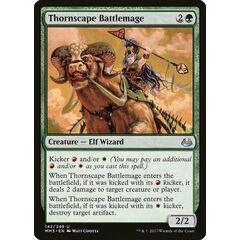 Thornscape Battlemage