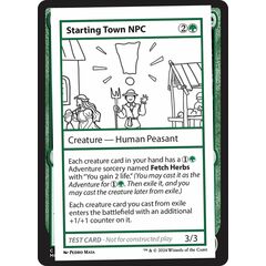 Starting Town NPC