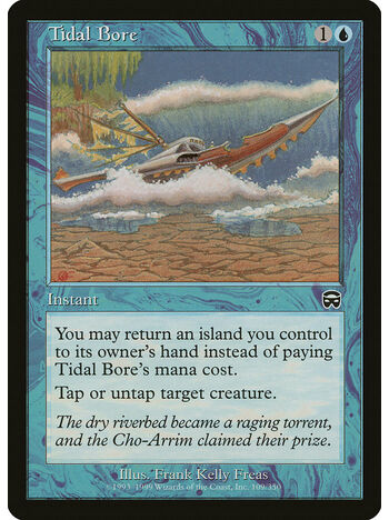 Tidal Bore