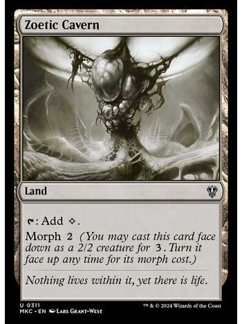 Zoetic Cavern