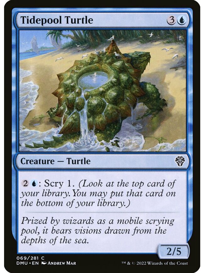 Tidepool Turtle