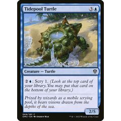 Tidepool Turtle