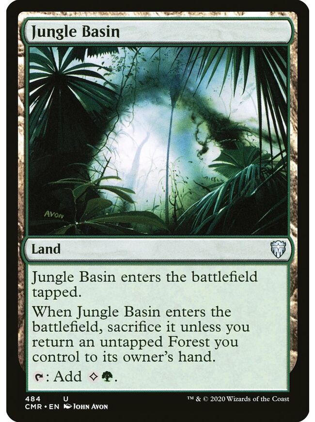 Jungle Basin