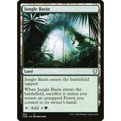 Jungle Basin