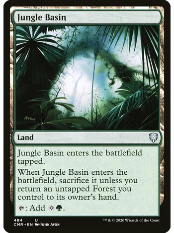 Jungle Basin