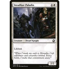 Steadfast Paladin