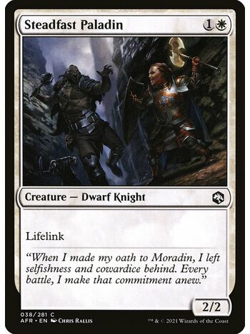 Steadfast Paladin