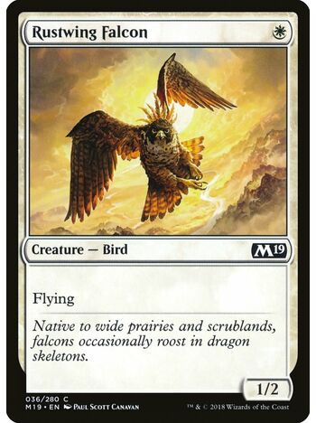 Rustwing Falcon