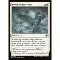 Scout for Survivors